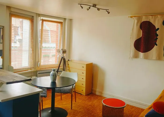 Appartement De Nico La Madeleine (Nord)